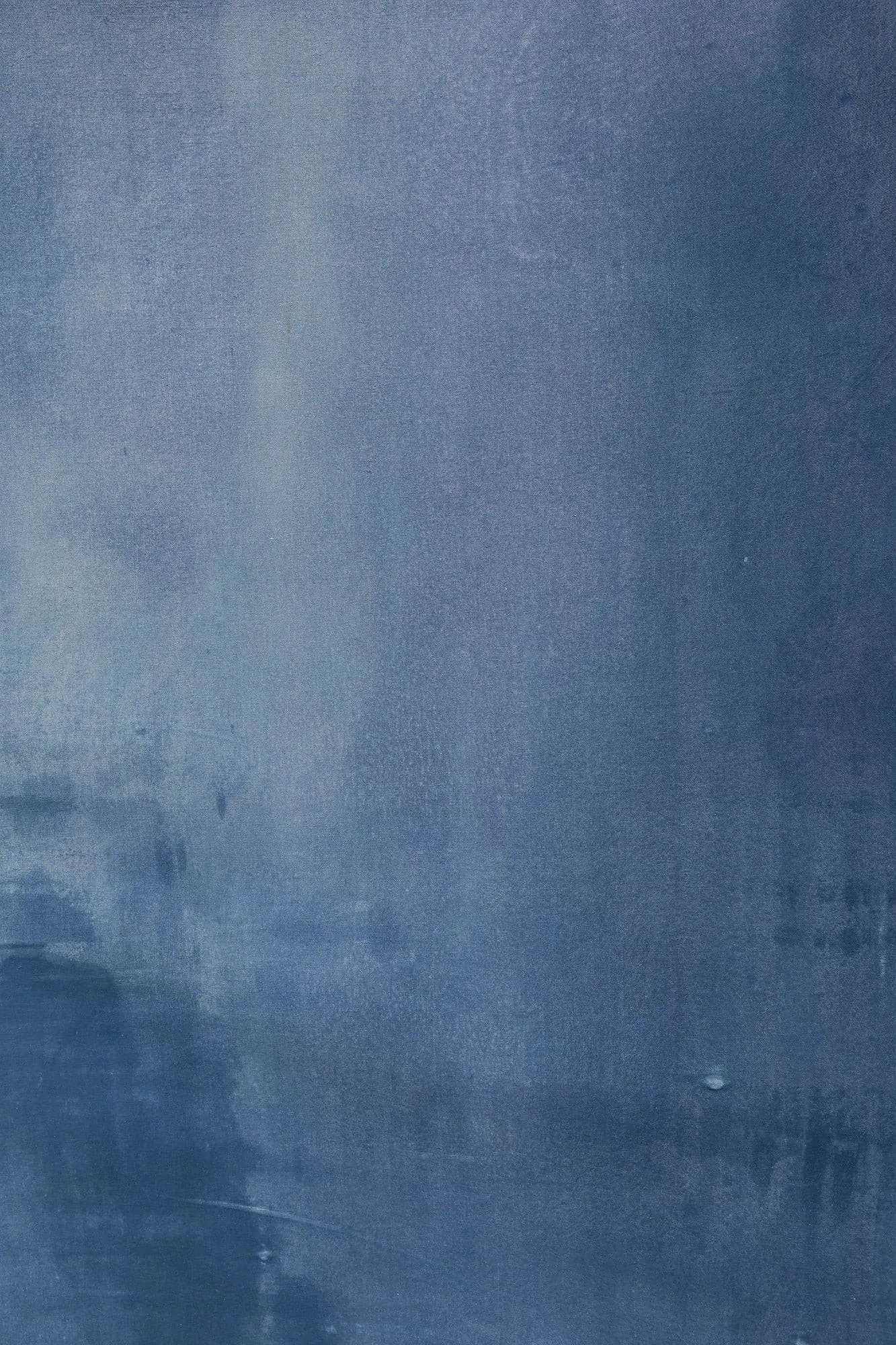 Blue Morpho #0127 Large Hand-Painted Canvas Backdrop
